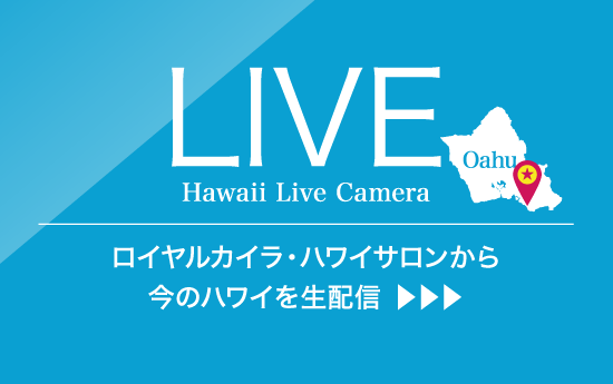 Live Camera