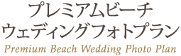 ץߥӡǥ󥰥եȥץ Premium Beach Wedding Photo Plan